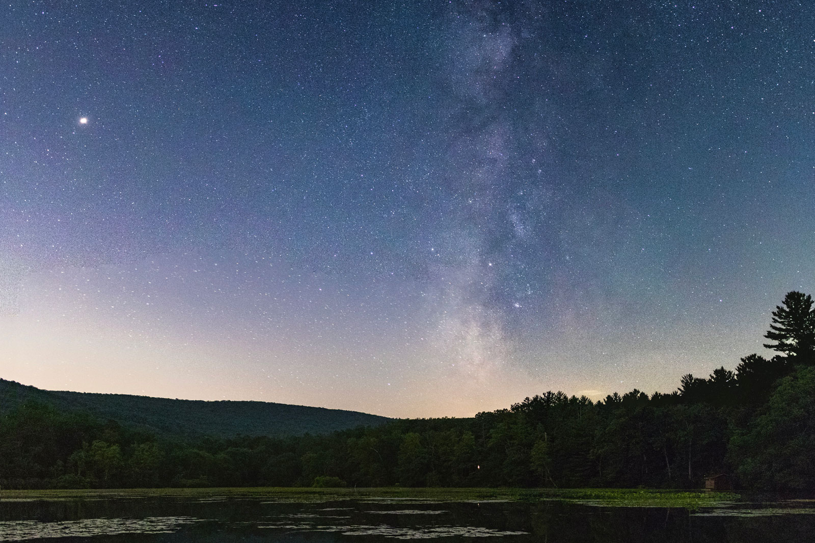 A starry night sky over a forest