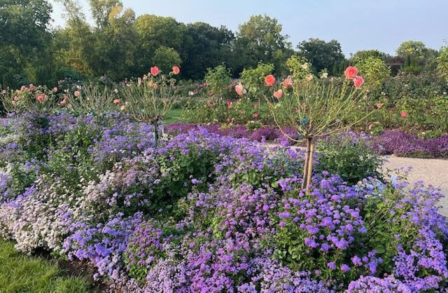 Rose Garden Park