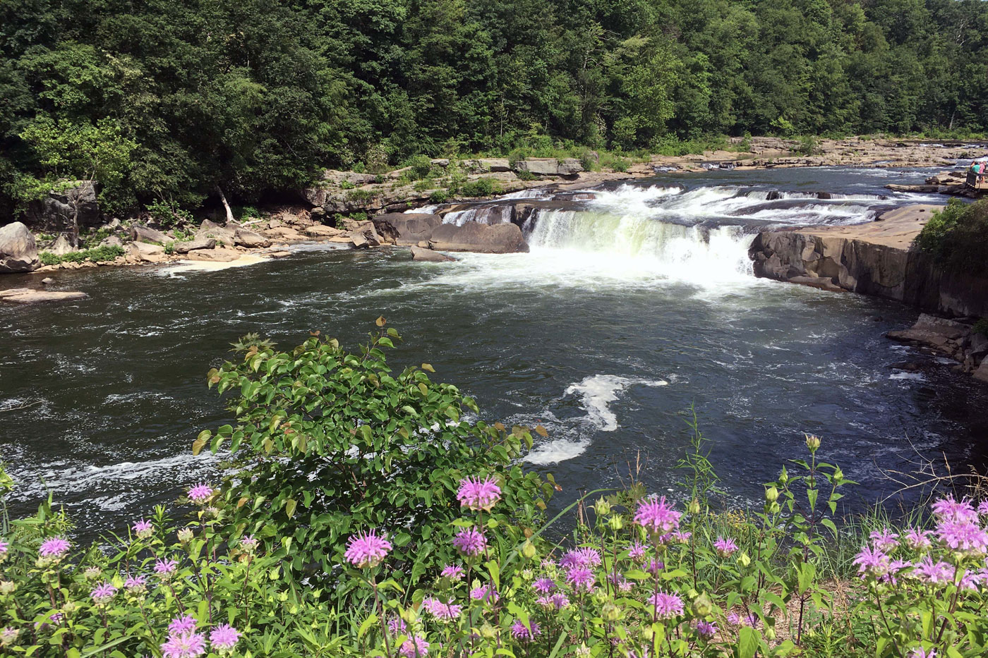 Youghiogheny River