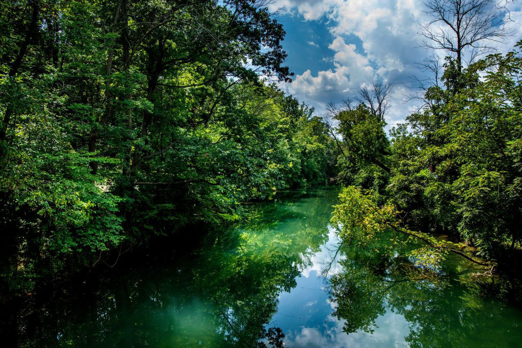 Bushkill Creek surrounded by trees