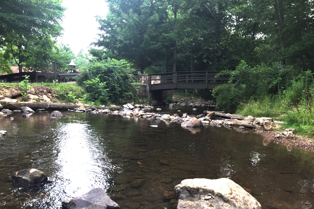 walkover bridge by a creek surrounded by green trees