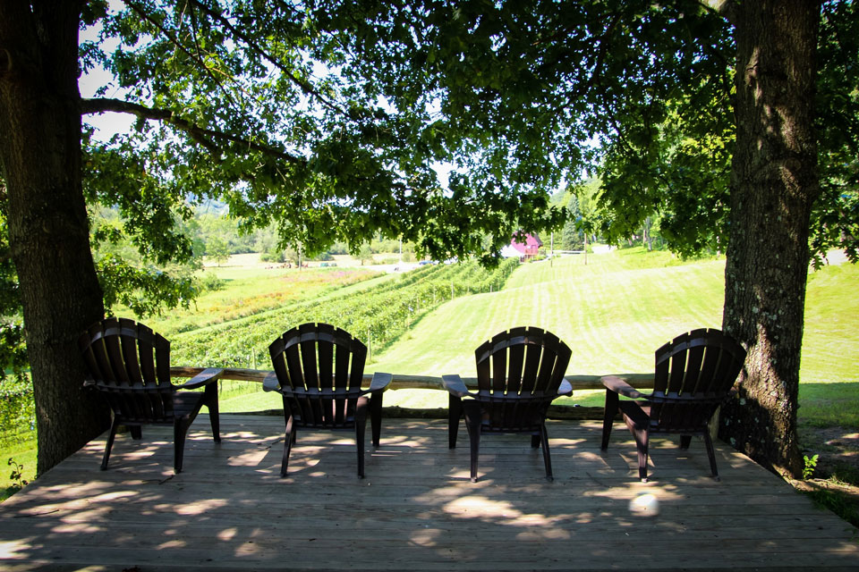 arm rest chairs with vineyard view