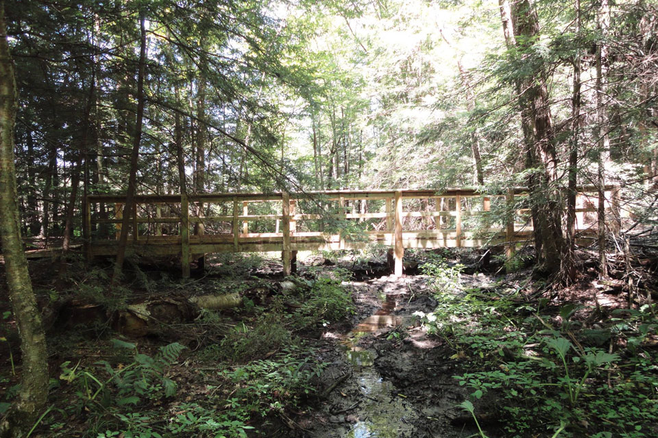 Accessible wooden bridge trail path in the woods