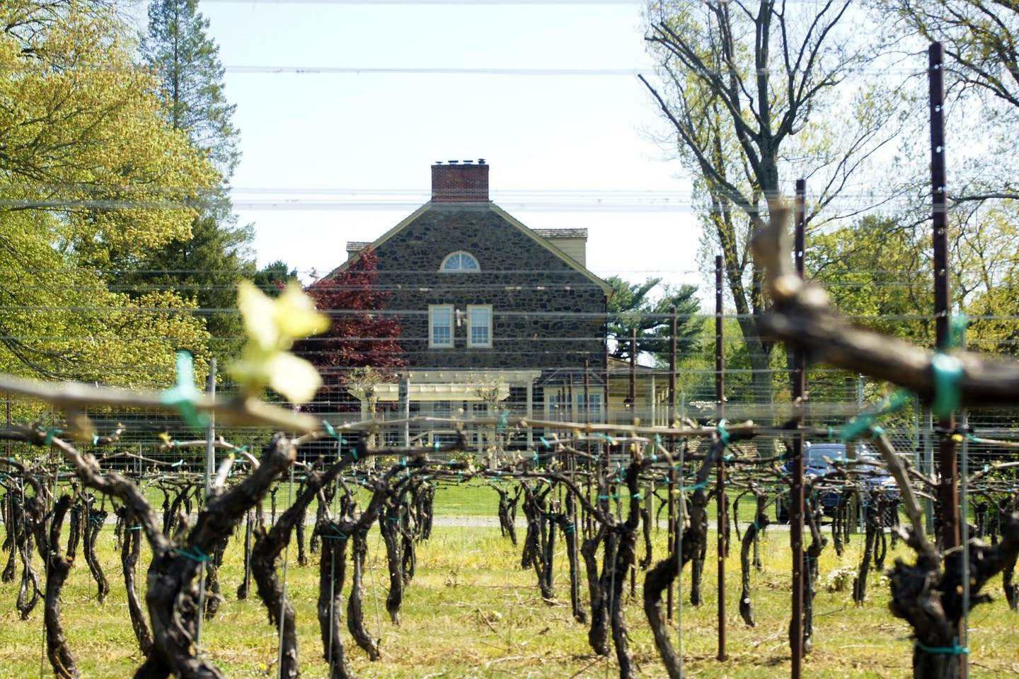 Grace Winery