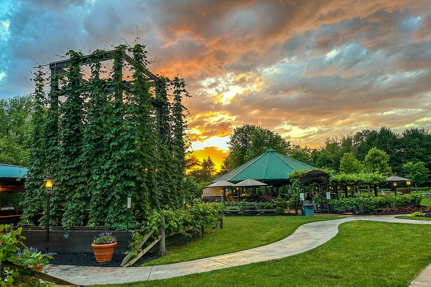 Narcisi Winery