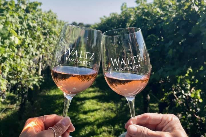 two hands cheering with wine glasses at Waltz Vineyards