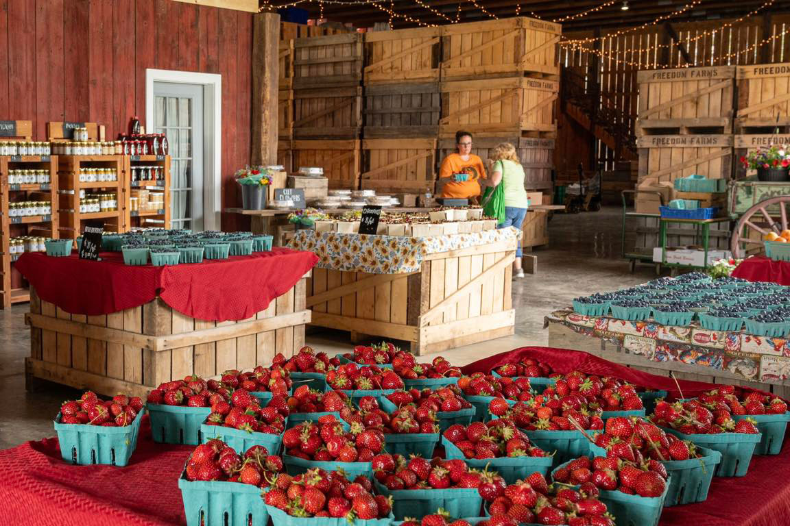 berry packed in box cases at Freedom farm barn