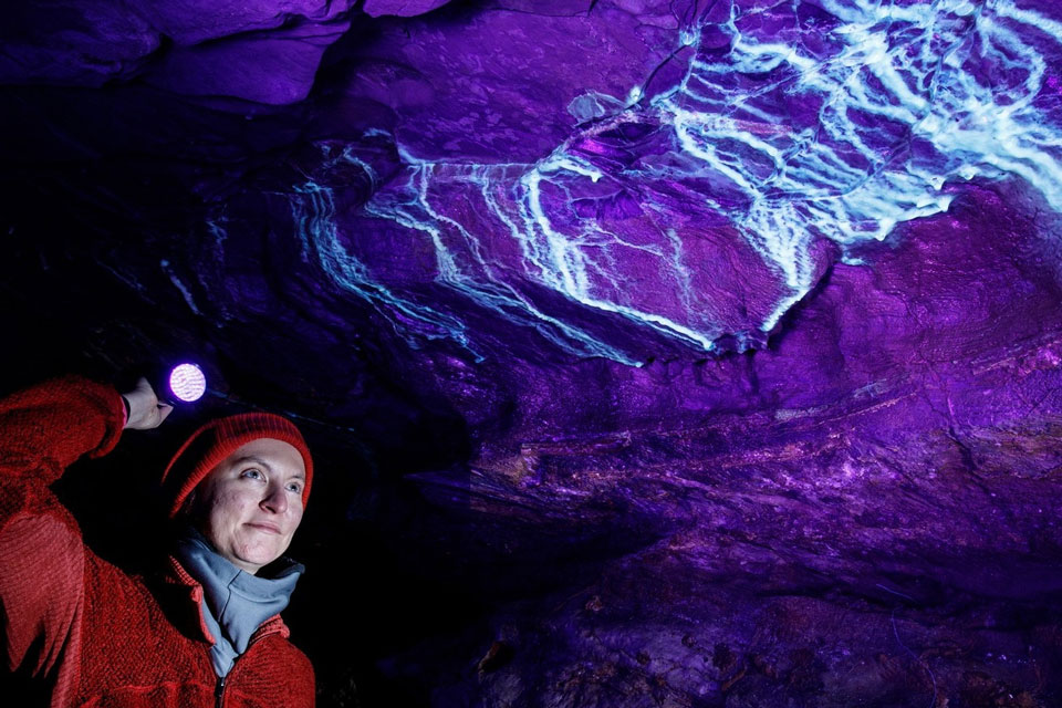a women with flashlight inside Lincoln cavern