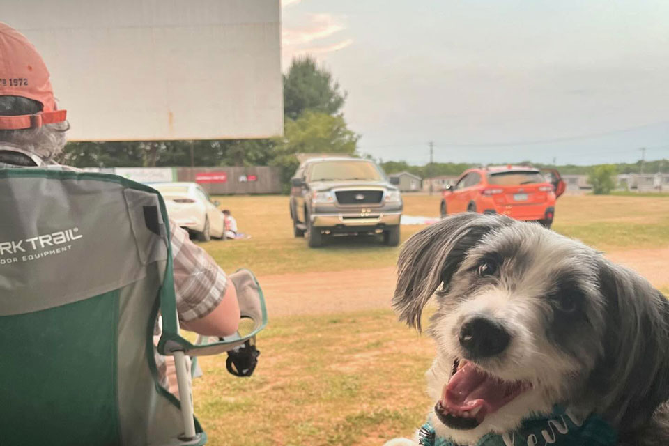 a person sitting in folding camp chair along with pet dog experiencing theater