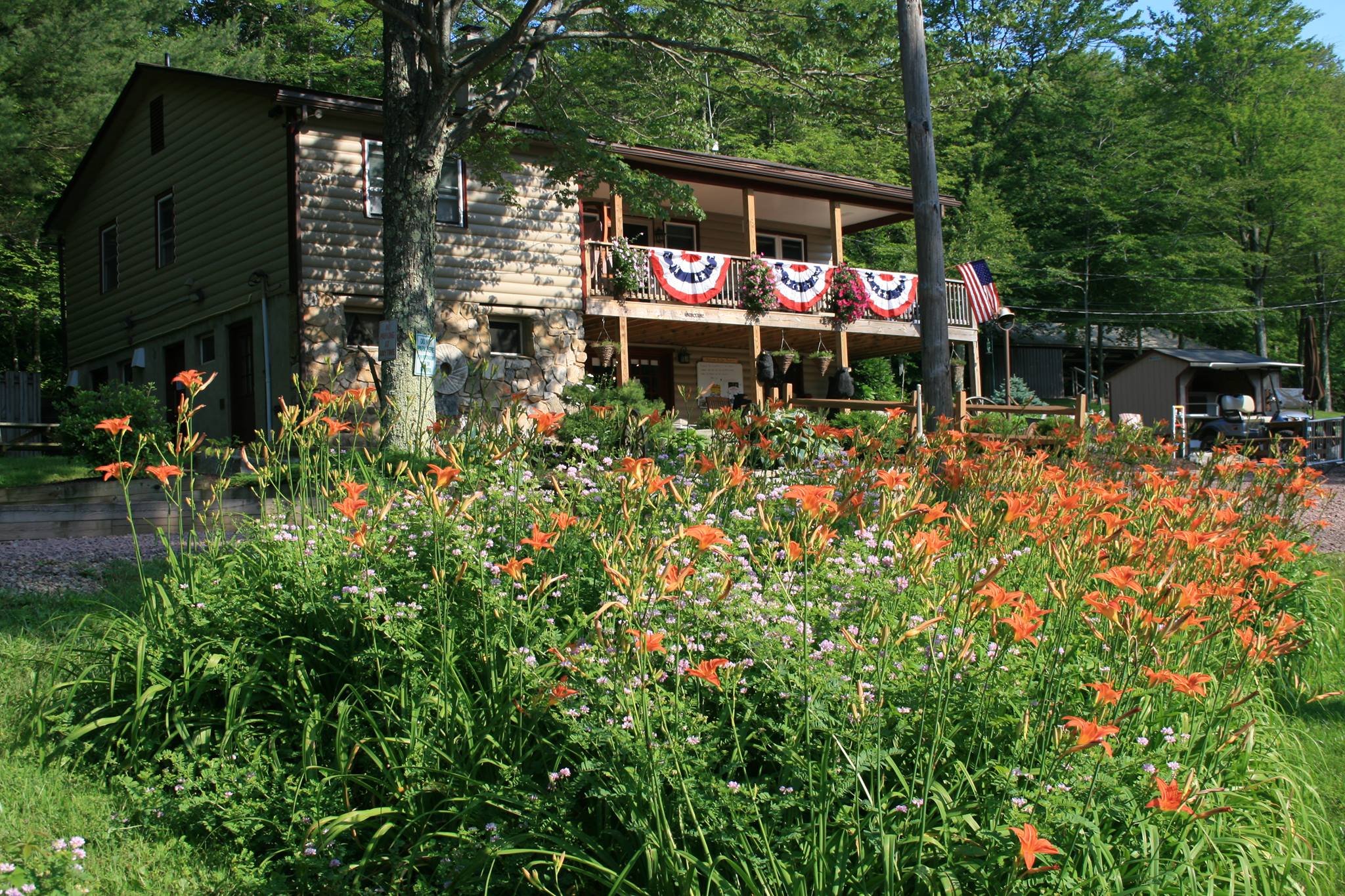 Wood log cabin house