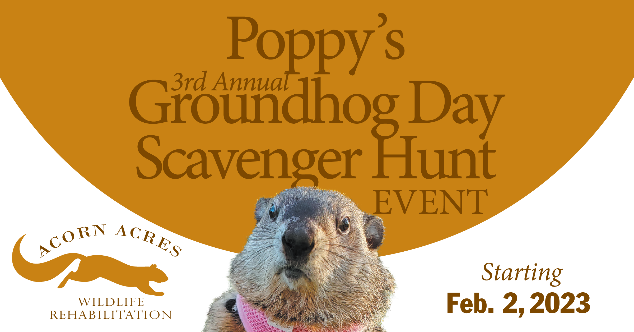 Poppy's 3rd Annial Groundhog Day Scavenger Huny Event