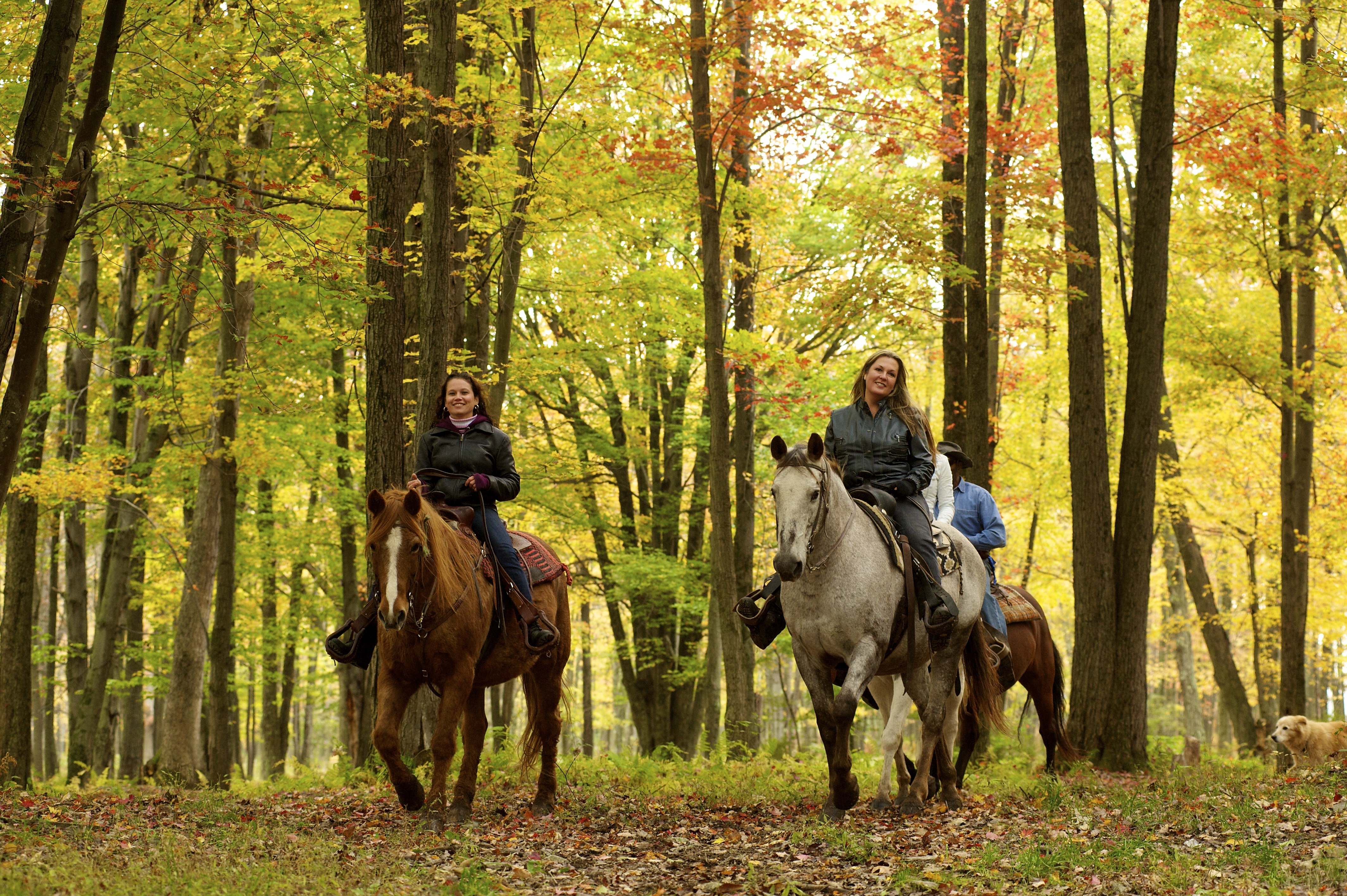 Horseback Riding in Pennsylvania.
