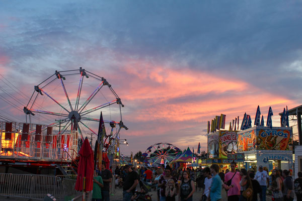 Stalls at Greene County Fair