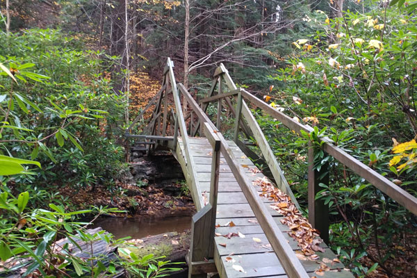 trail alan seegar natural area