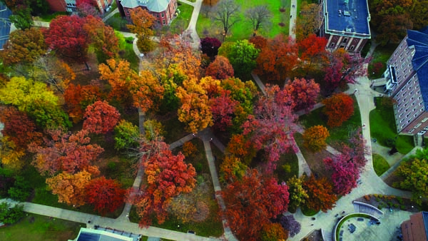 Fall Foliage at Indiana University of Pennsylvania