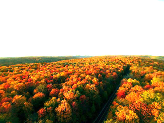 Fall Foliage Birds Eye view Allegheny National Forest