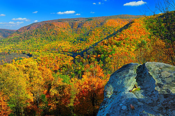 Baughman Rock Overlook