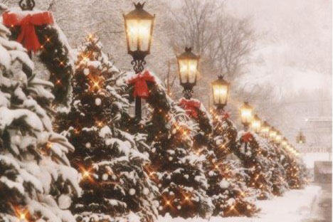 snow covered Christmas trees with a lamp post on main street during snow fall