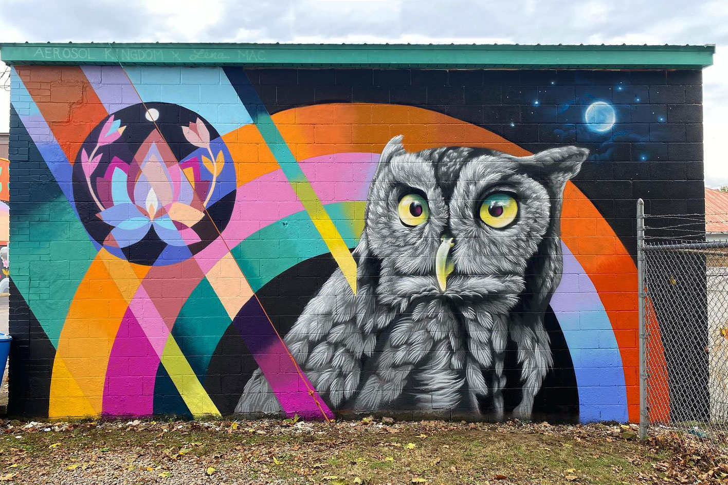 owl mural on wall