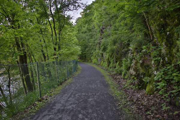 bloomsburg rail trail