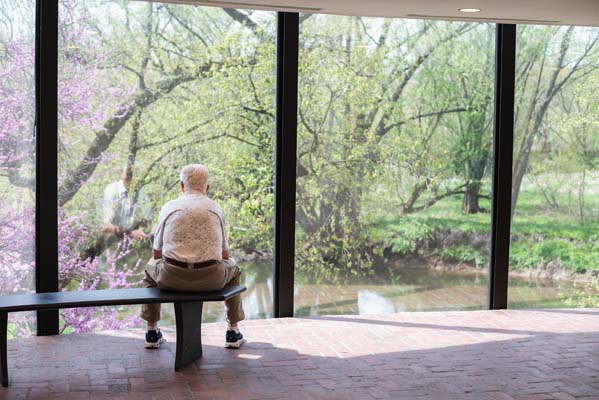 a person sitting on a bench looking at Pond thru Glass window