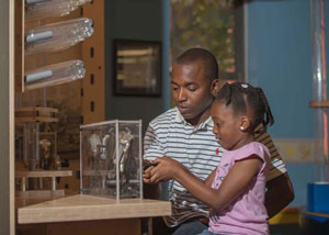 father daughter museum visit