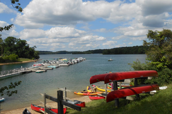 kayaking boats docked by lake