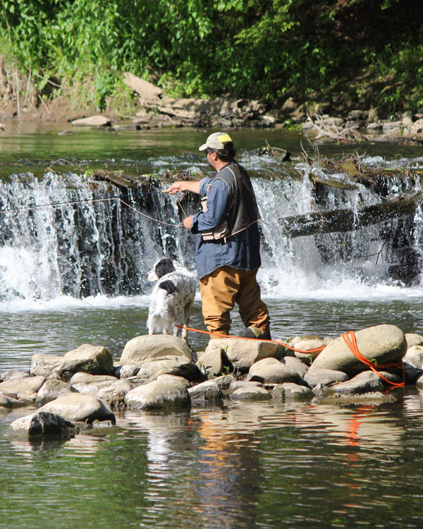 A person fishing in creek with dog next to