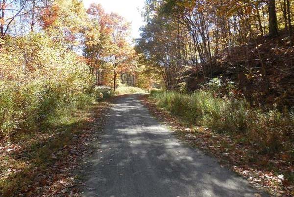 Biking Trail