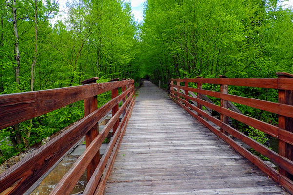 wooden trail 