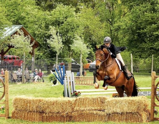 Derby at the Vineyard