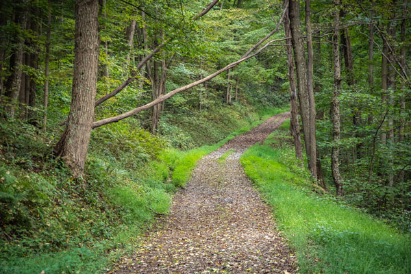 rock trail path