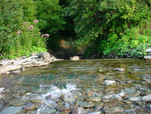 Erie Bluffs State Park