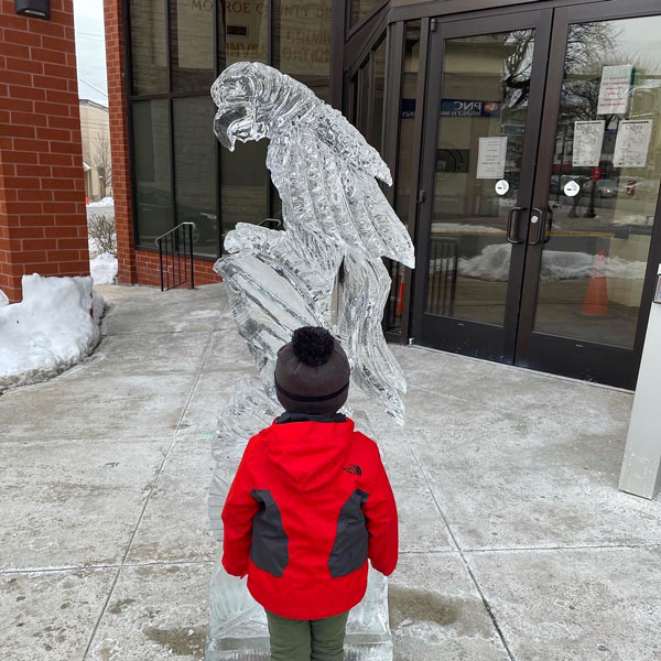 A child standing in front of a ice carved parrot