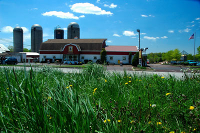 freddy hill farm