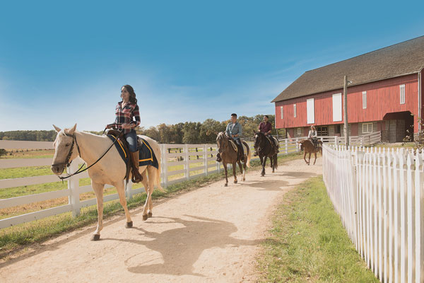 Horse Back riding