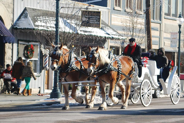 A couple of horses pull a carriage