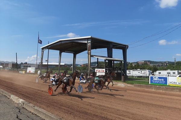 horse racing on race course