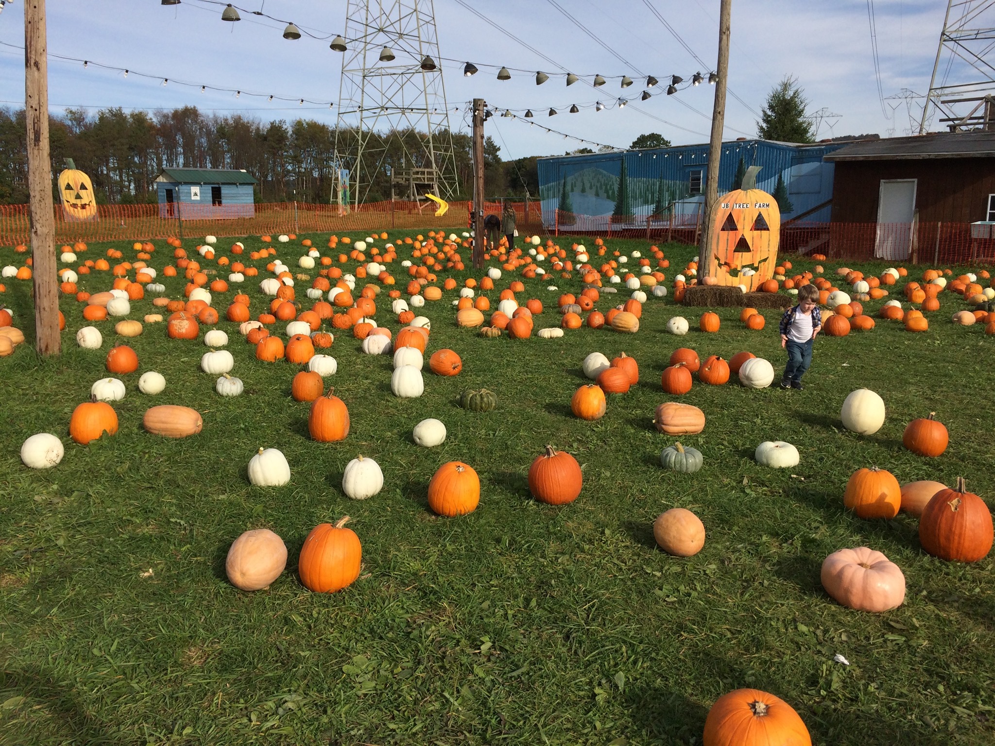 kid playing on pumpkin patch