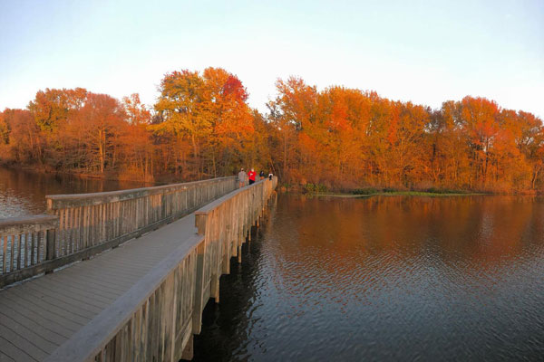 wooden walk bridge on lake