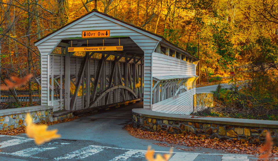 White Covered Bridge with foliage surrounded