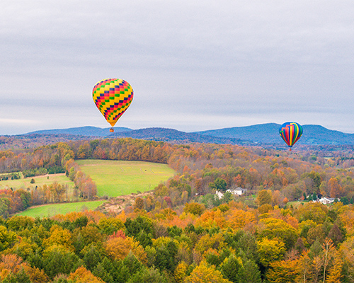 two hot air balloon flying over forest in autumn