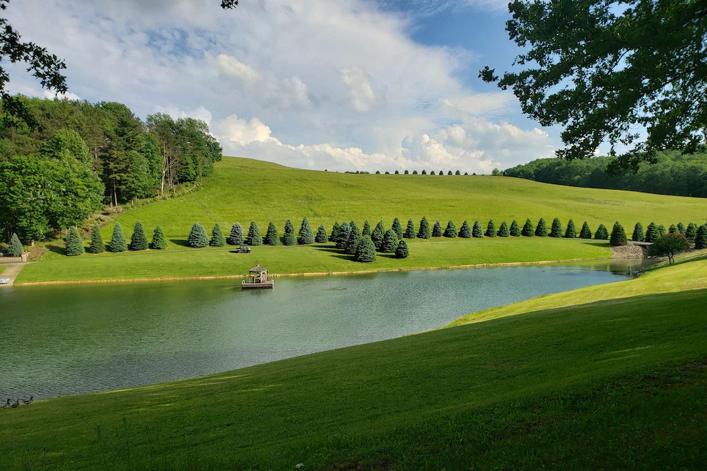 A pond surrounded by grass and trees