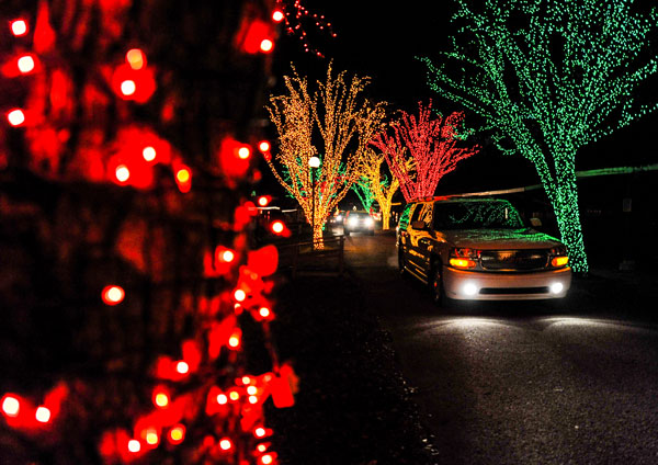 cars driving through holiday lights
