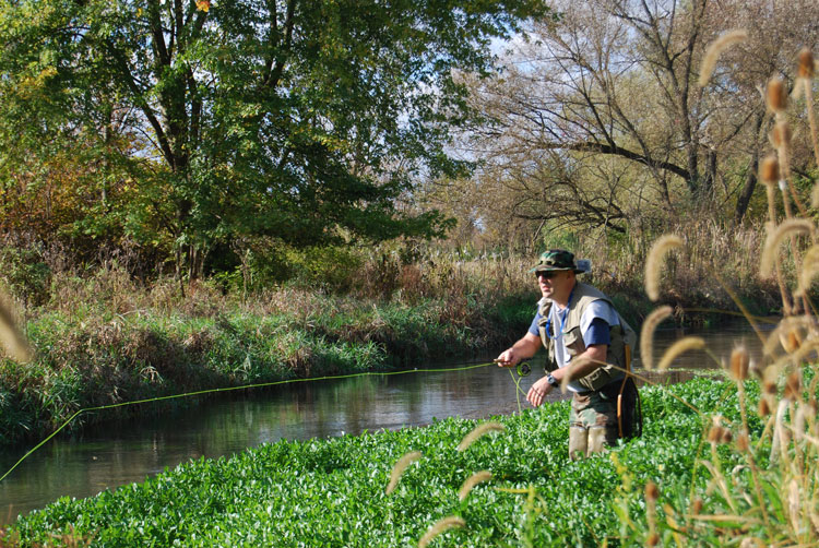 A person fishing in a river