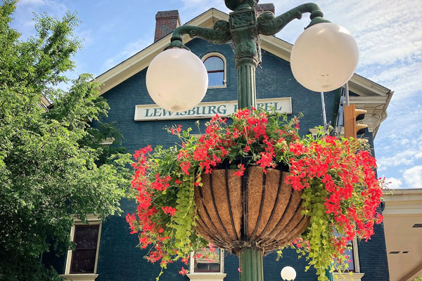 flower pot up on lamp post