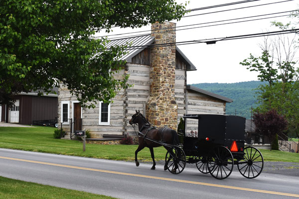 horse carriage running by log house on main