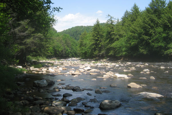 A river with rocks and trees