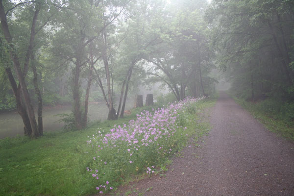 Foggy trail road