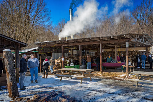 people touring maple taste and tour